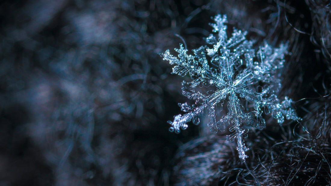 Day2 - L’odore della neve: perché possiamo “sentire” il freddo