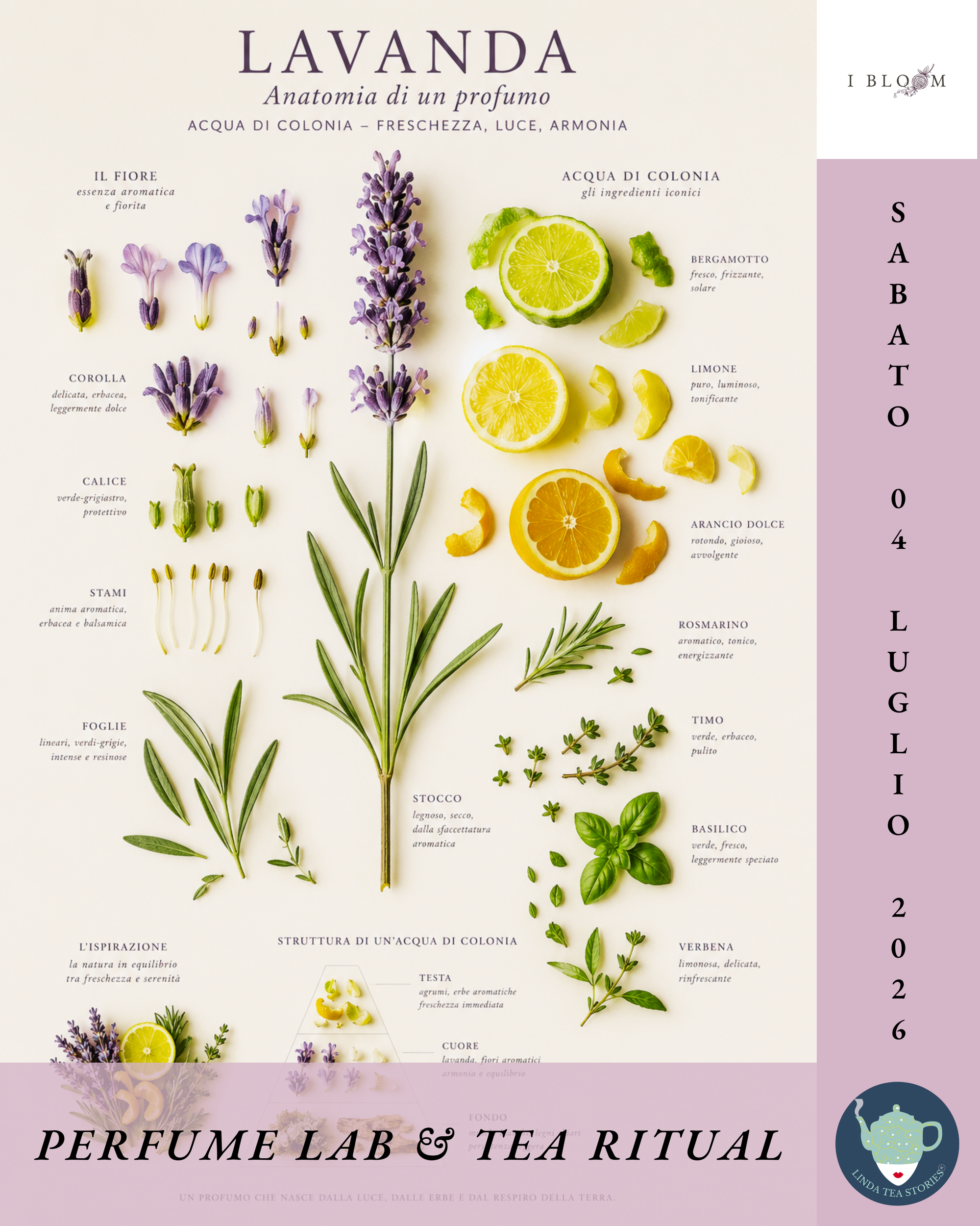 LAVANDA SCOMPOSTA | ANATOMIA DI UN PROFUMO - Perfume Lab & Tea Ritual