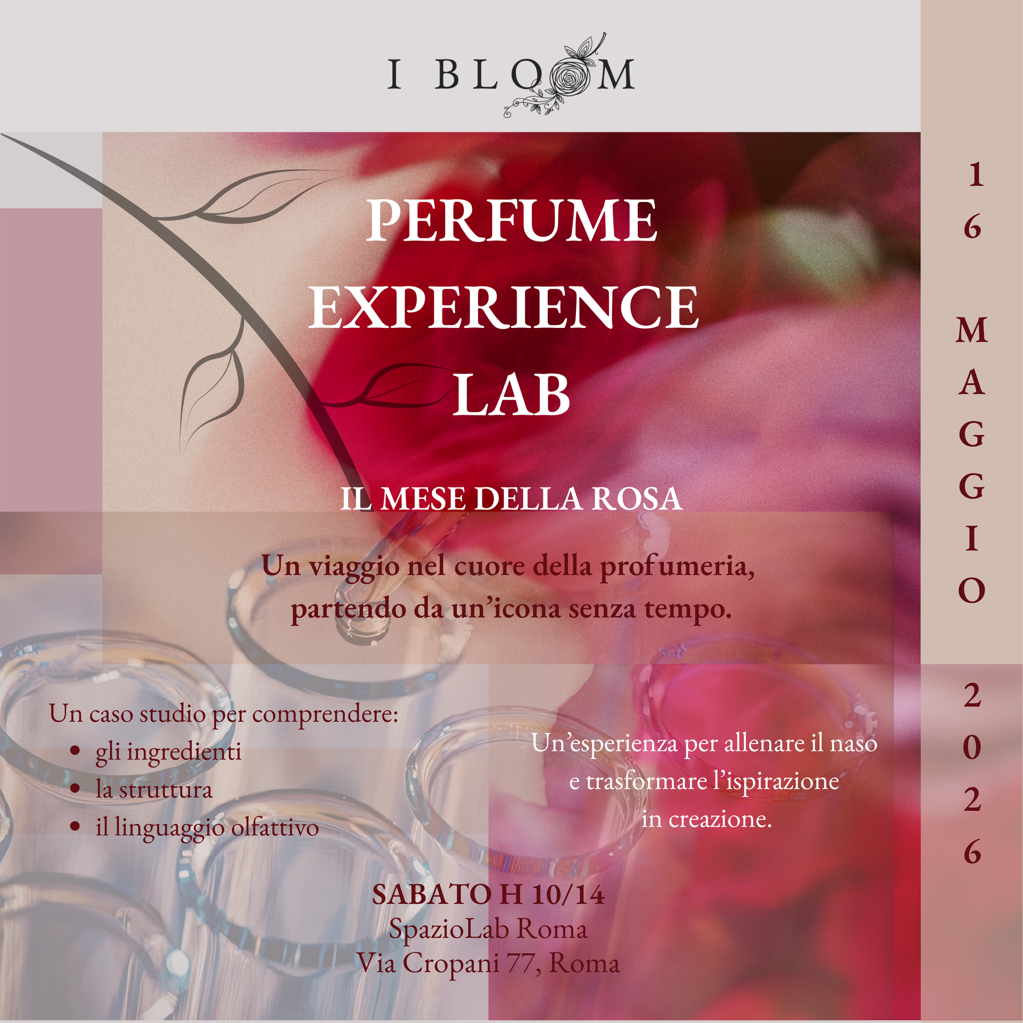 PERFUME EXPERIENCE LAB - DECIFRARE UN'ICONA