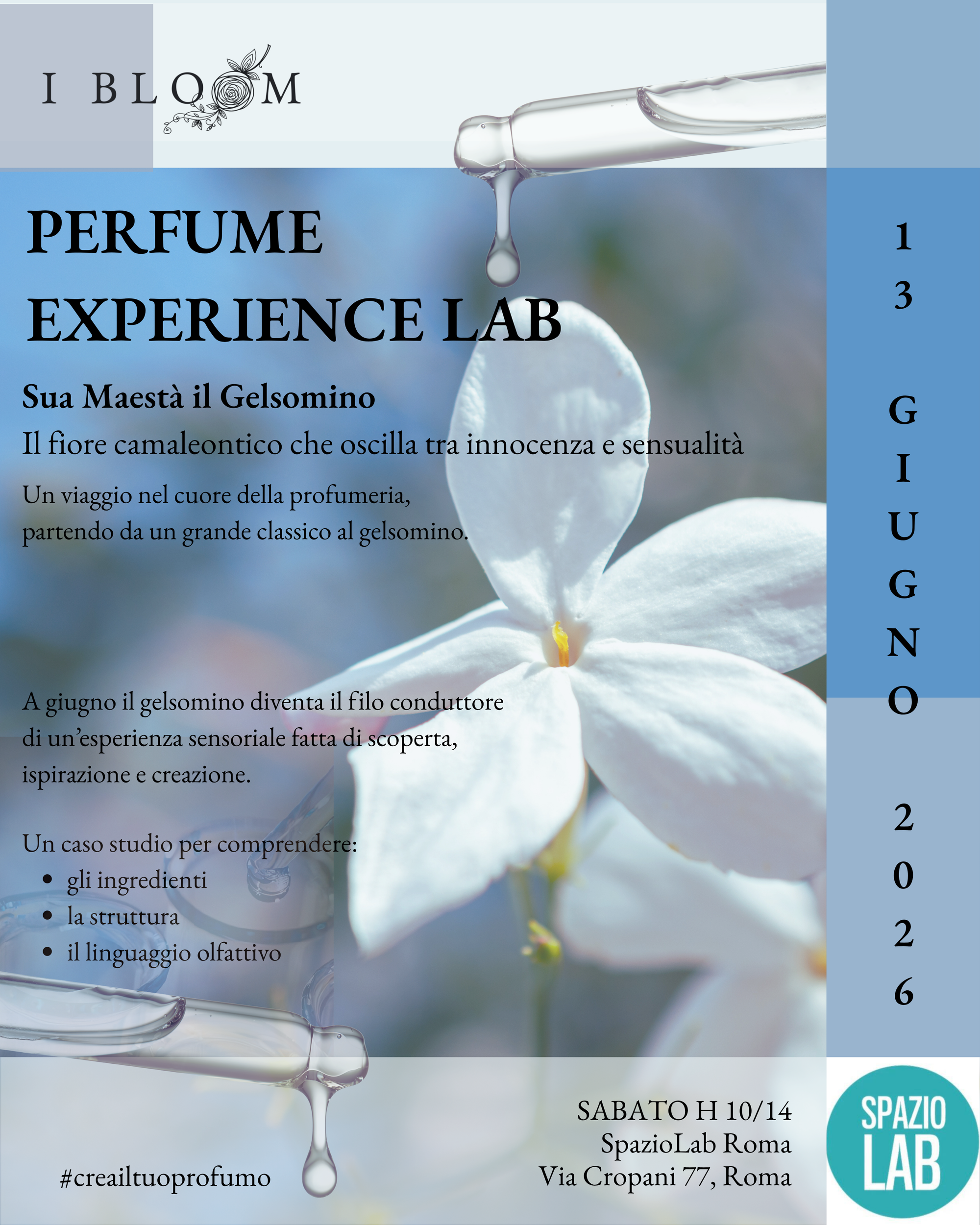 PERFUME EXPERIENCE LAB | Sua Maestà il Gelsomino